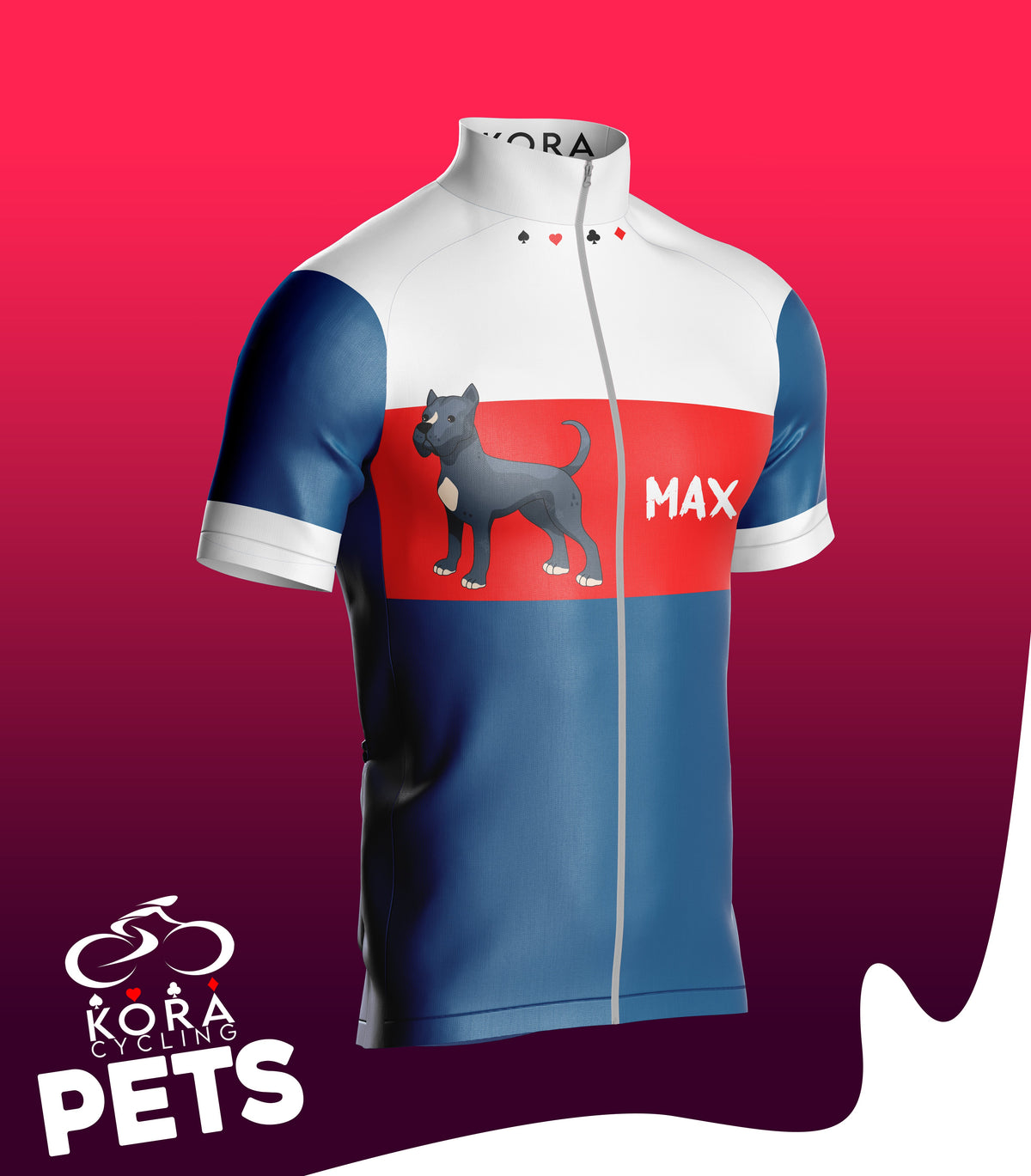 Ride with your pet